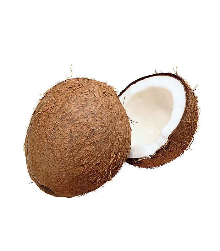coco Coco