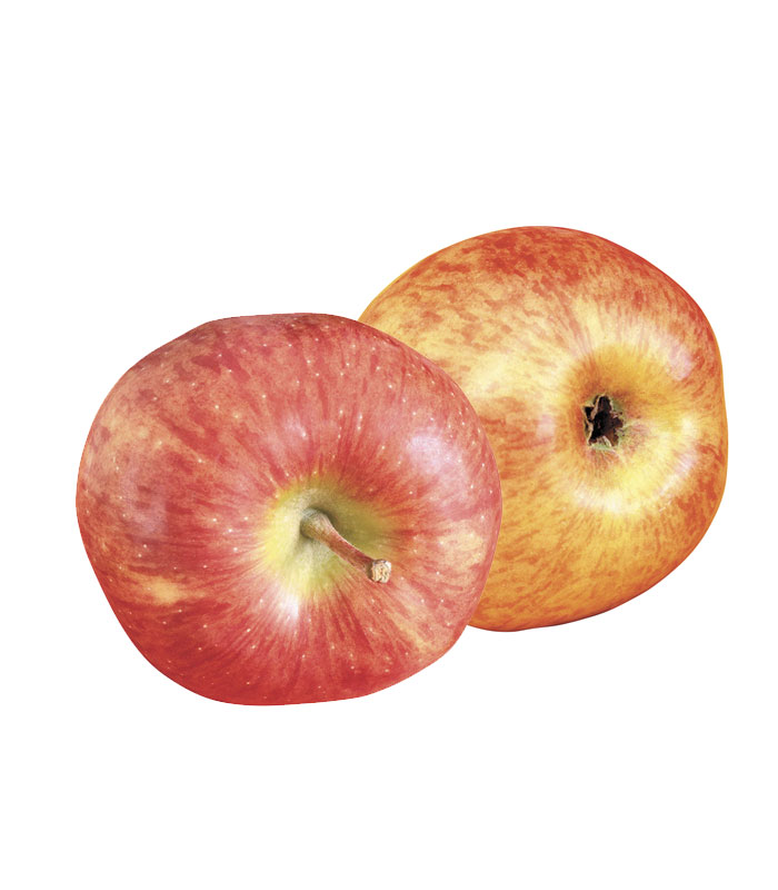 manzana-estarki Manzana Royal Gala