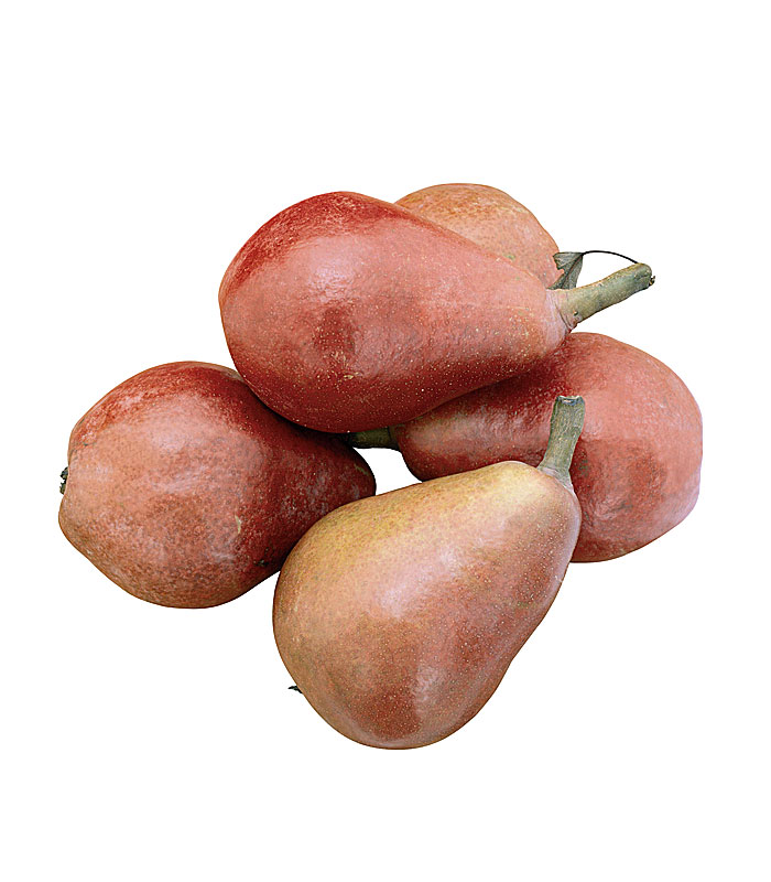 pera-roja Pera ercolina